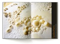 Sample pages of the Lechuguilla Cave showing the extraordinary cave pearls of the Pearlsian Gulf