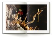 Sample pages of the Lechuguilla Cave showing giant snake dancer helictites